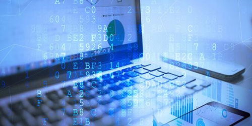 軟件開發(fā)培訓 從入門到職業(yè)發(fā)展的完整指南