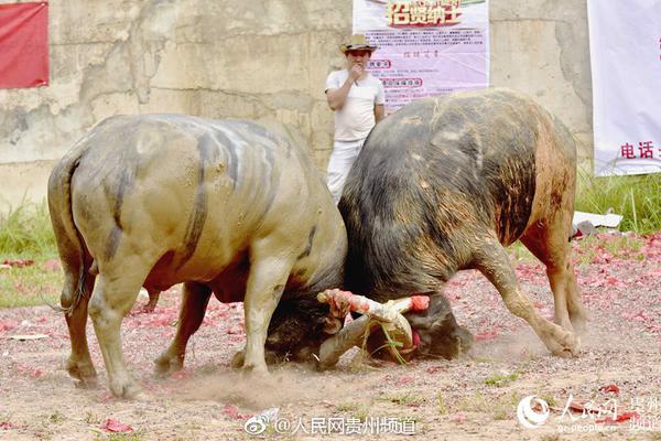 江西累計投運充電樁43490根 充電網(wǎng)絡(luò)初步建成