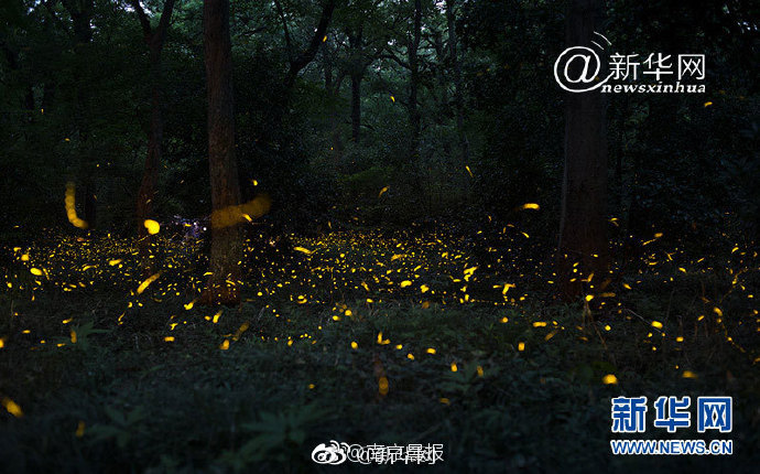 國家電網年中會議“劃重點” 泛在電力物聯網、能源生態圈成關鍵詞