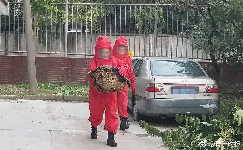 濟南交警上線遠程交通違法處理系統 &ldquo;線上面對面&rdquo;處理違法，方