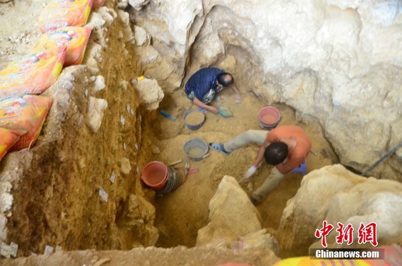 濟(jì)南華山湖首現(xiàn)草鷺，這是一種什么大鳥？