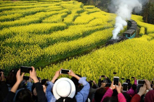 北京東三環，開始堵車了