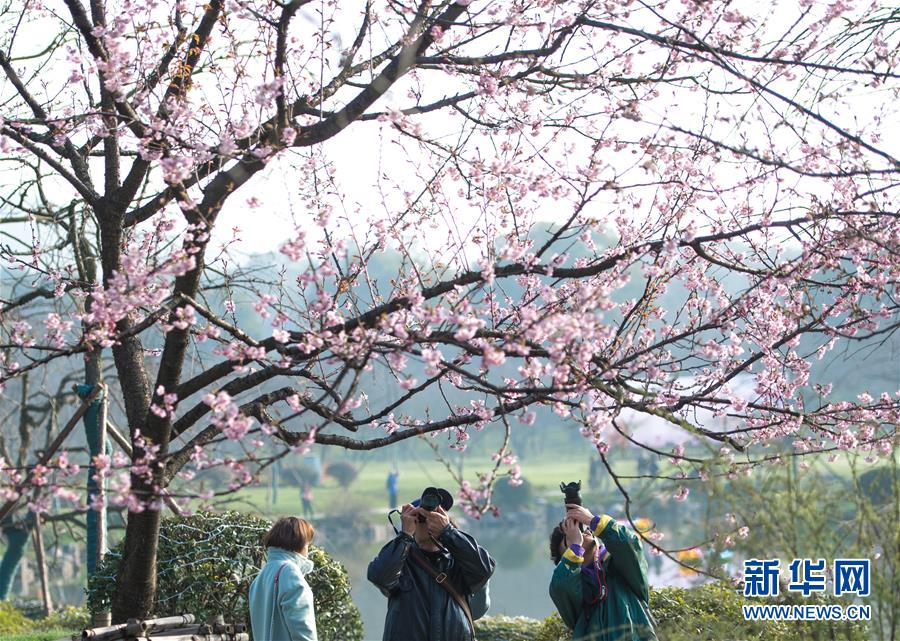 迄今為止，有太空垃圾掉下來砸到人嗎？還真有一個