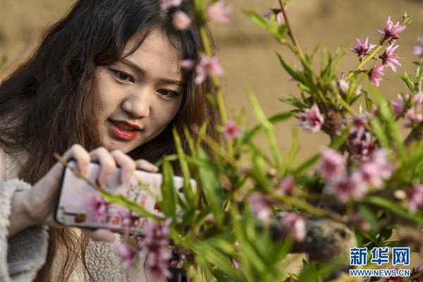 電商“物流戰(zhàn)疫”：京東自營(yíng)反超，拼多多遇大考