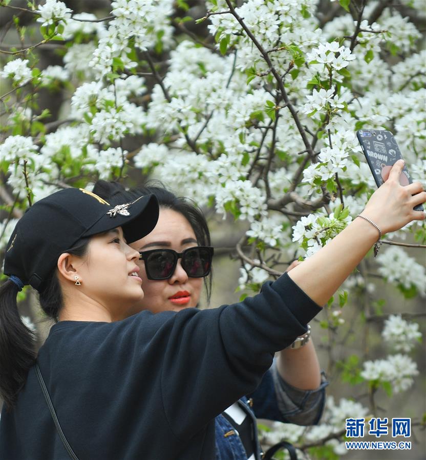 微信平臺助力電力設備搶修
