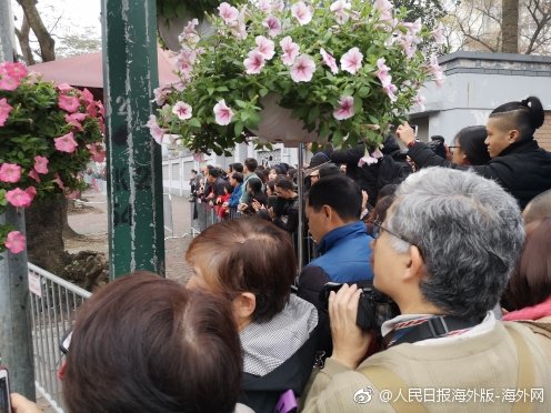 國資委：穩步推進輸配電裝備制造等行業的中央企業重組整合