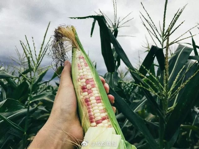 湖南省電改綜合試點(diǎn)獲批：放開所有符合條件的省級以上園區(qū)售電業(yè)務(wù)