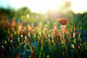 江蘇電科院牽頭的一項儲能監控領域國家標準發布