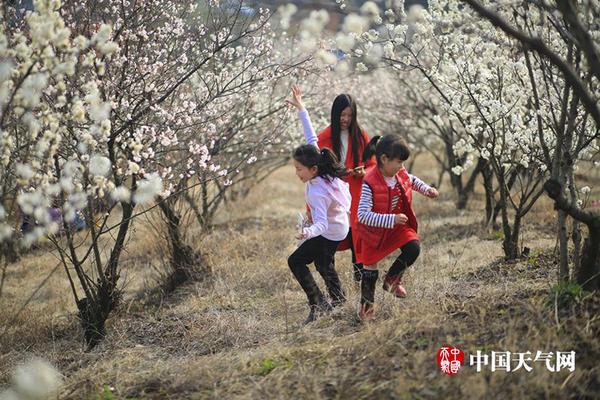2014世界品牌500強(qiáng)：國(guó)網(wǎng)第60位 內(nèi)地29品牌入選（榜單）