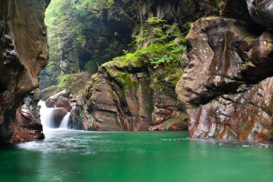 《龍珠超：布羅利》定檔5月24日 鳥山明親自操刀