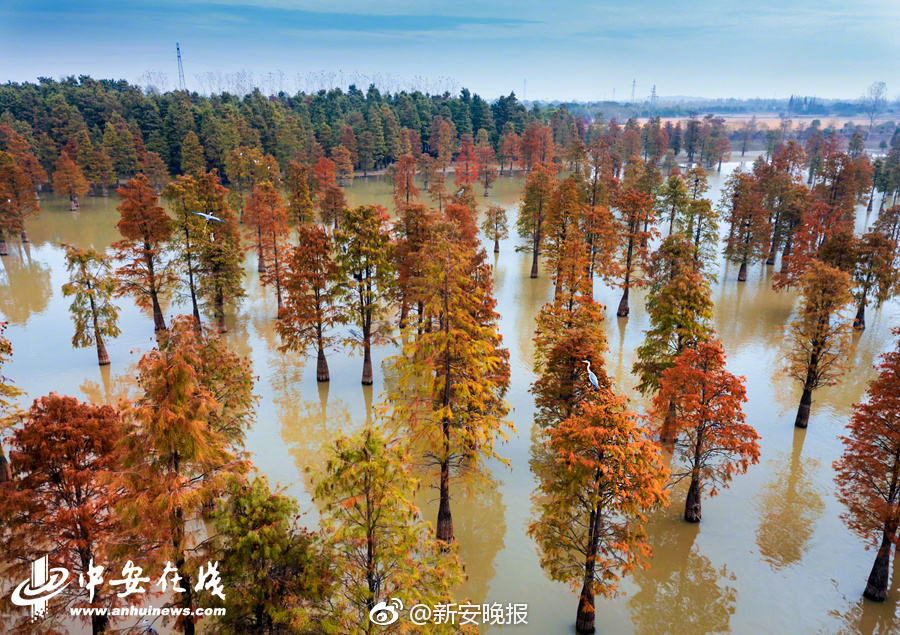 【普法】簽訂合同，干活容易討薪更易