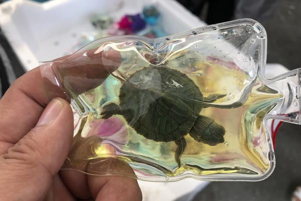 一個(gè)牧民和中國航天的故事