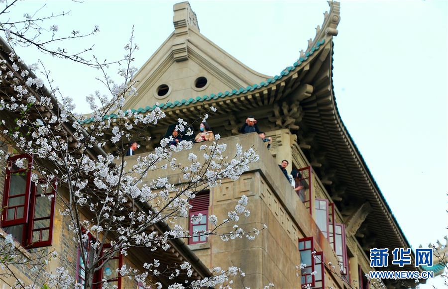 變電站裝上“智慧腦” 220千伏天平智慧變電站成功投運