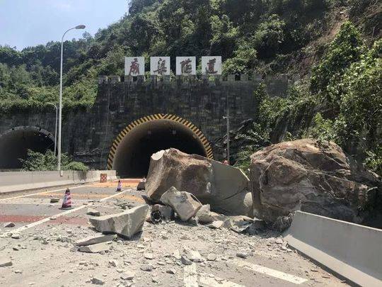 73歲兒子獵捕候鳥被抓 100歲老父親：鳥吃糧食