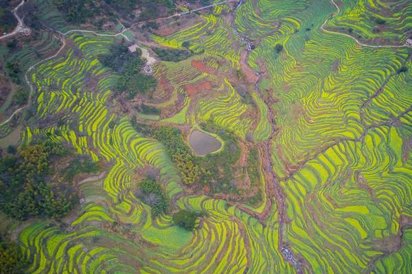 青海油田68年累計生產油氣當量超過1.5億噸
