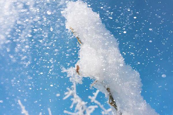 青島3歲神童走紅，“神童教育”的背后，是家長們的專權！