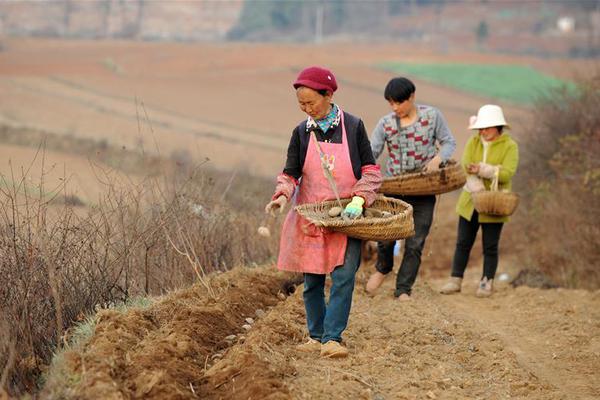 福建修改電力市場交易規則 偏差考核執行正偏差0.5倍、負偏差1倍標準