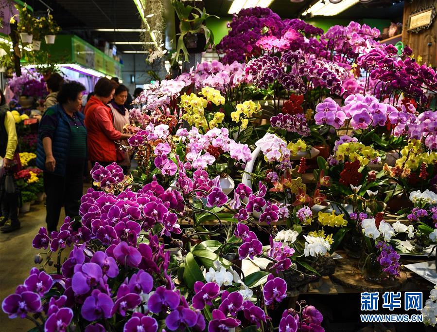 德國財政部長要求全面停止天然氣發電并延長核電站的運營時間