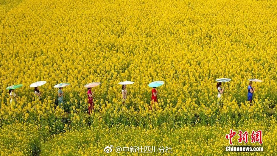 發(fā)改委：新電改價(jià)改時(shí)間表已敲定