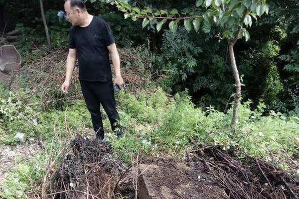 巴黎圣母院燒壞了，該怎么修？