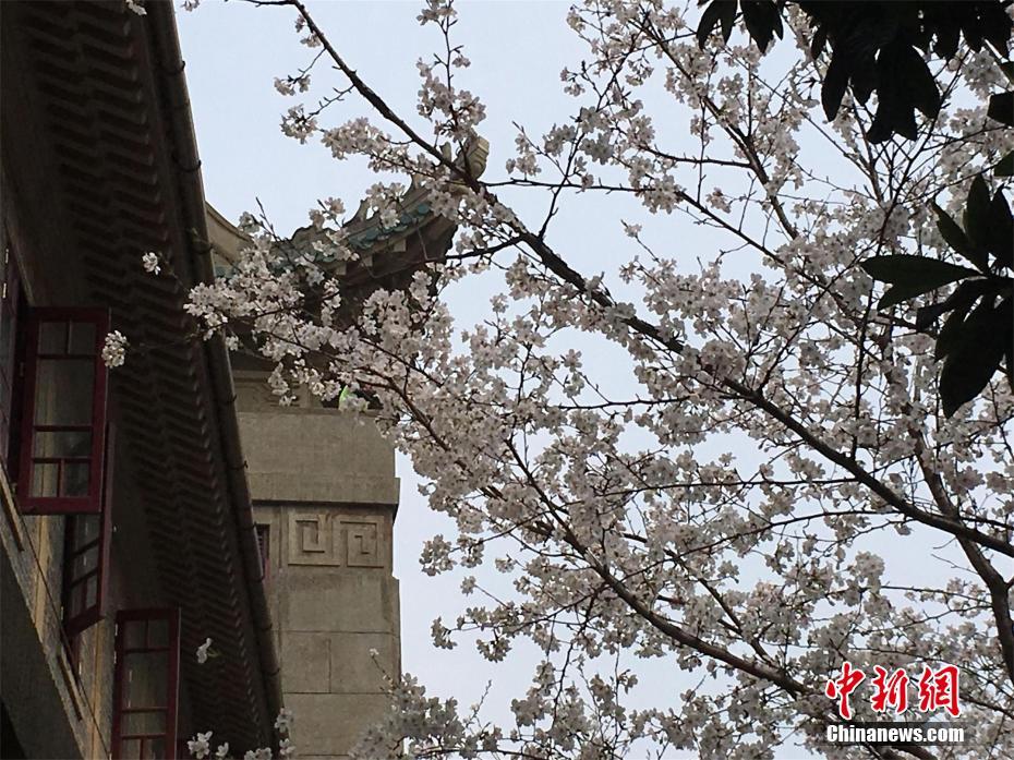 100G漸入佳境 光纖光纜轉型升級
