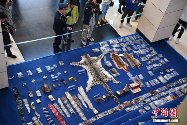 《中國電力大數據發展白皮書》正式發布——電力信息化年會直播