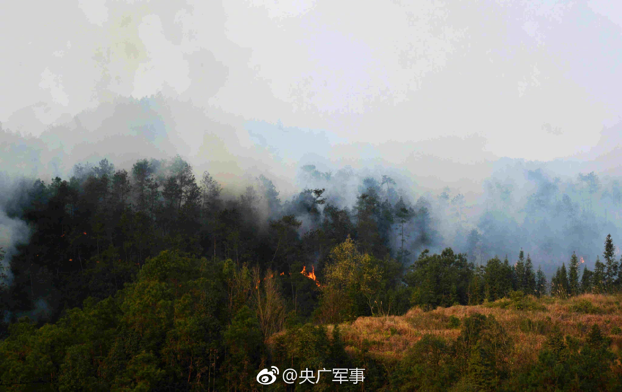 失戀了很痛苦怎么辦,如何做才能快速調整心情