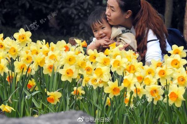 數(shù)據(jù)中心耗電巨大 太陽能成新選擇