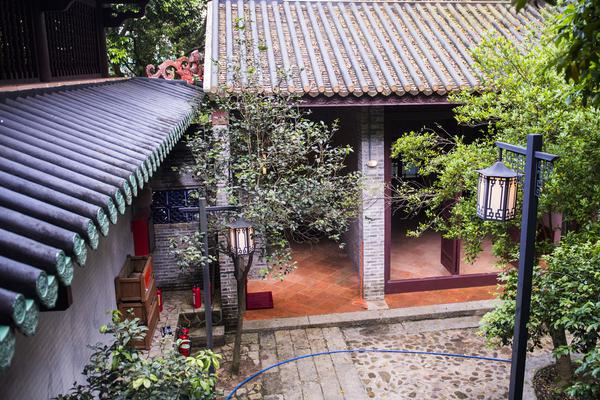 美國男子被自己養的大鳥殺死，他的100只神奇動物將被...