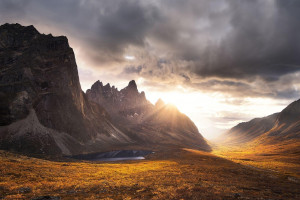 大希地 冷凍半成品喜洋洋牛肉餡餅 520g*4袋 69元包郵