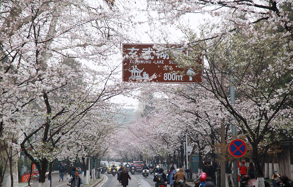 山東公示1家跨省售電公司