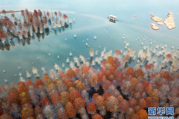 天津大學國家儲能平臺—烯灣氫能科技氫能技術聯合研究中心正式揭牌