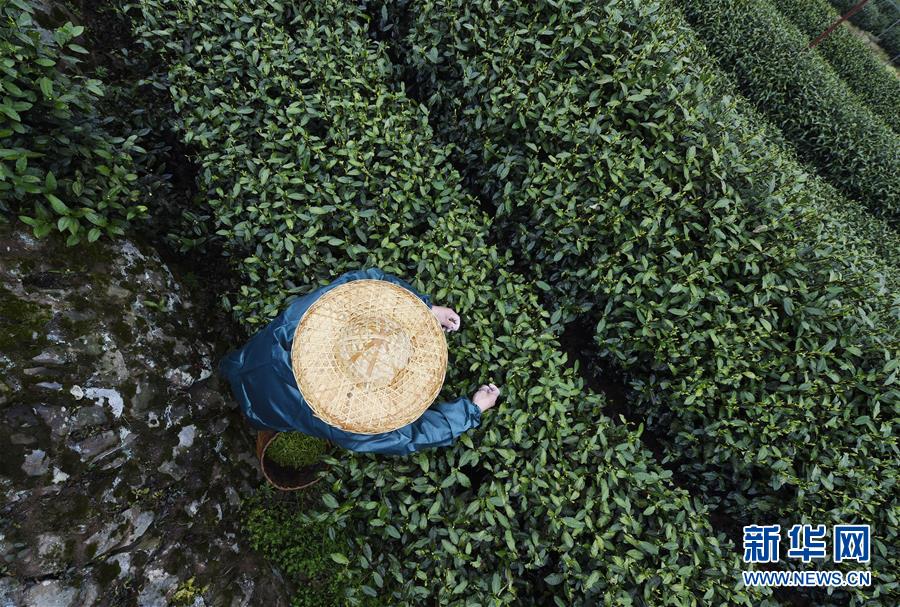 三度缺席白宮記協晚宴 特朗普又罵媒體