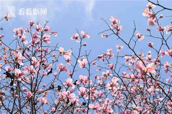 駐馬店-武漢1000kV特高壓交流輸變電工程變動情況公示