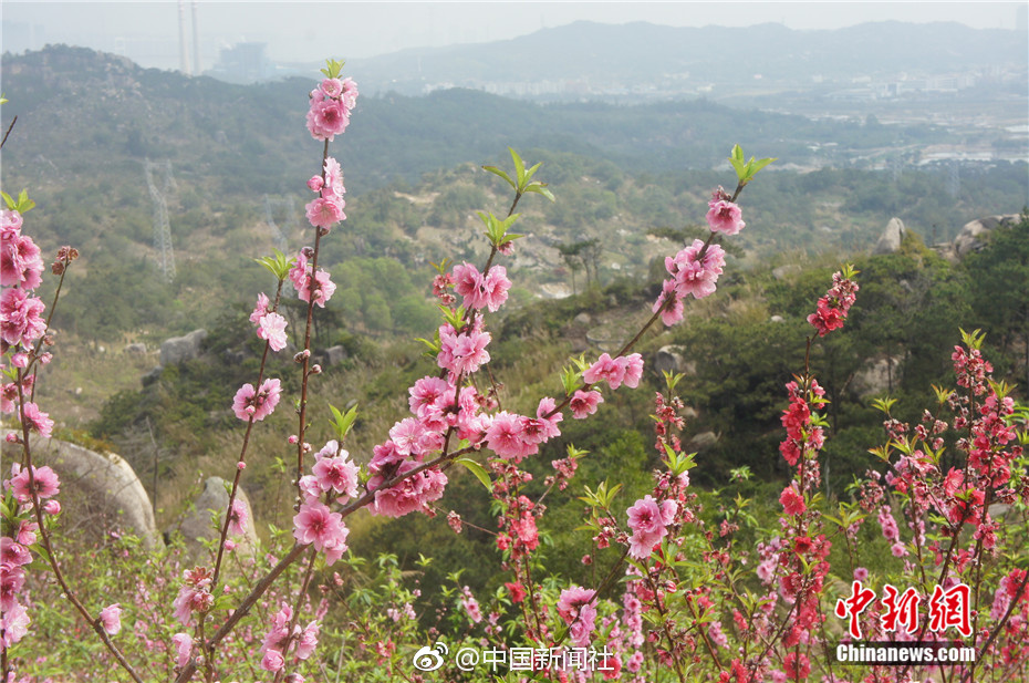 四川電力交易中心不合規(guī)行為處理常見問答